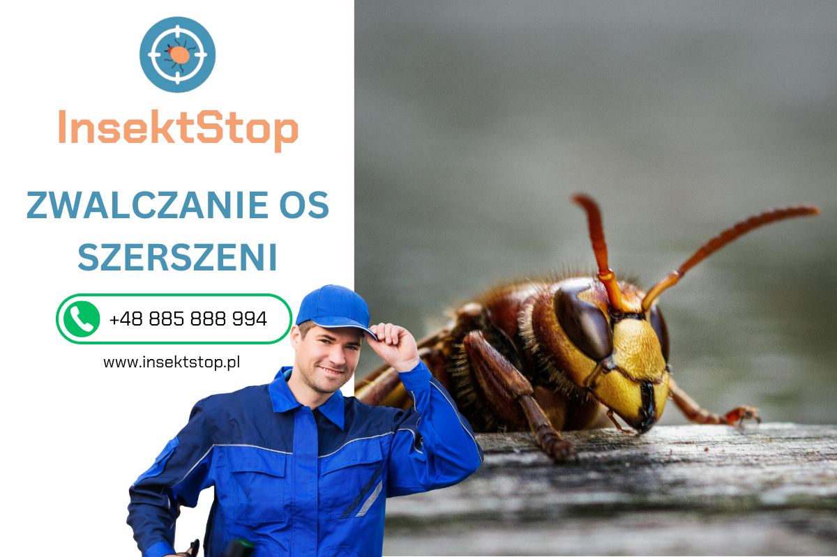 usuwanie gniazd os i szerszeni insektstop